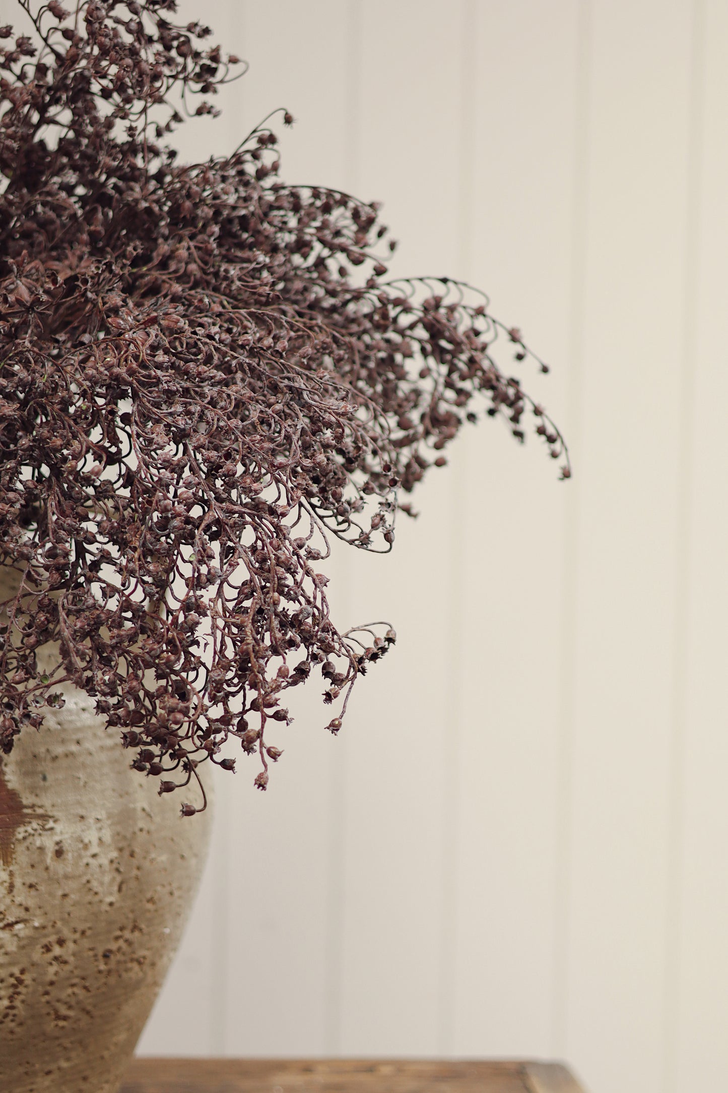 Dripping Dried Berry Spray
