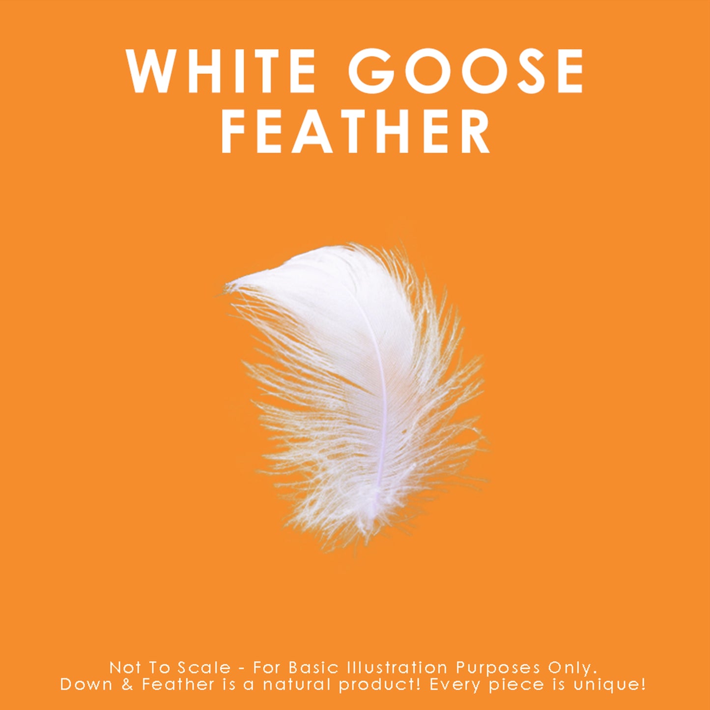 White Goose Feather Duvet